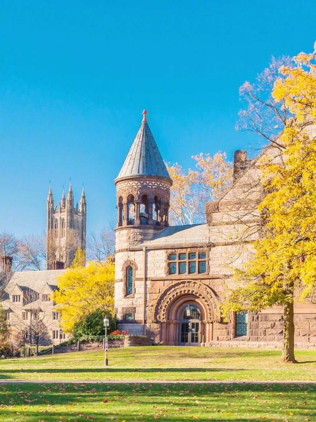 东京医科齿科大学